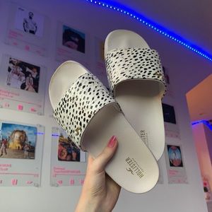 holister slides